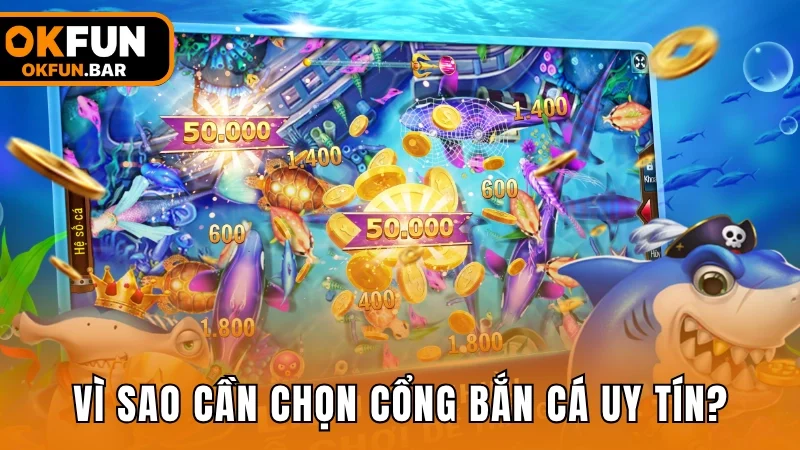 Một số lý do người tham gia săn cá cần lựa chọn nền tảng uy tín