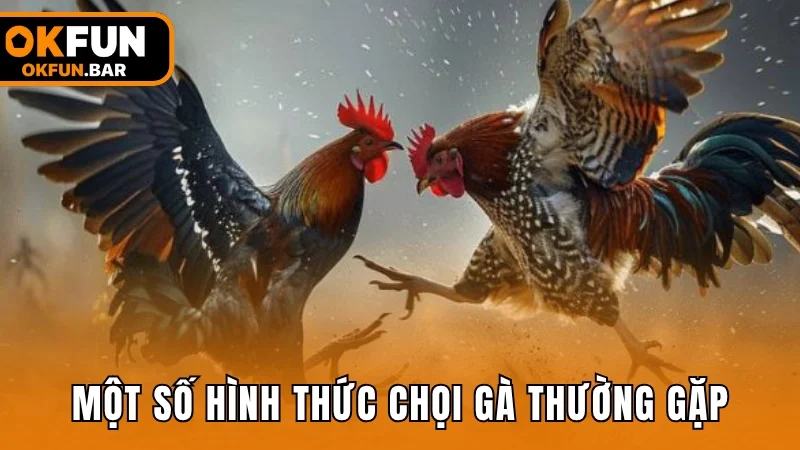 Một số hình thức đặt cược chọi gà thường gặp nhất