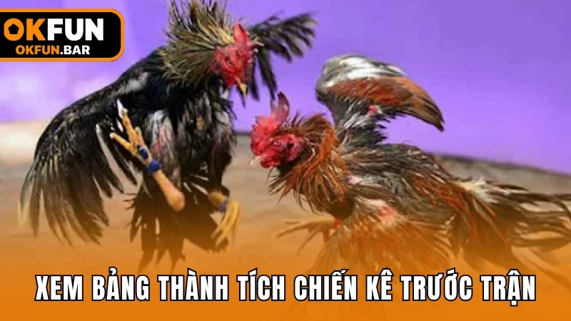 Nghiên cứu bảng thành tích chiến kê trước khi xuống tiền