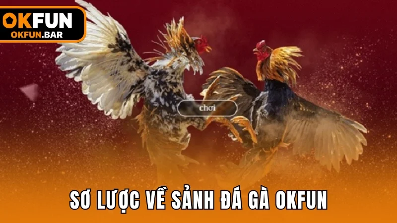 Sơ lược về sảnh đá gà trực tuyến tại OKFUN