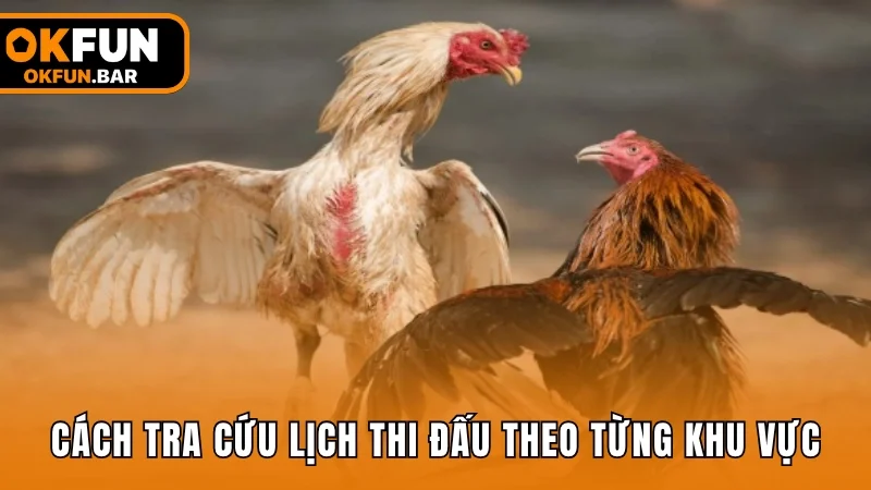 Hướng dẫn cách tra cứu lịch thi đấu chọi gà theo từng khu vực